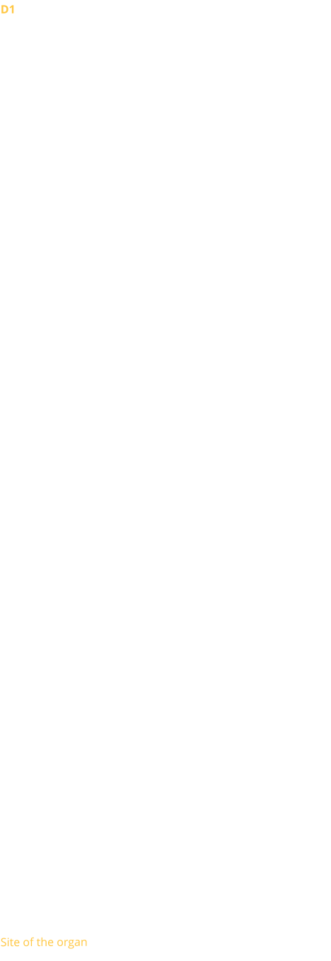 D1 There is hardly any information left on the organs of the Oratory before the Revolution. It is clear that the church of the Oratory, then a royal parish, must have possessed an instrument of great quality.  Assigned by Napoleon to the Reformed cult in 1811, the Oratory received the old organ of the church of St Louis du Louvre. It had been donated by Louis Féline, a member of the Reformed Consistory. Quickly judged insufficient to accompany the singing of the Psalms, it was ceded in 1835 to the Reformed parish of Nantes.  1828 The Consistory ordered an instrument with 3 manuals and 26 stops (including 10 reeds) from the organ builder Callinet-Somer. It sat in an empire-style sideboard designed by Hippolyte Godde. In 1845, at the instigation of the titular organist E. Meumann, a project to build a larger organ (with 32 feet and 56 stops) was born. Meumann then argued that the latter would then be better able to accompany Protestant worship. After much procrastination, it was finally only a restoration with a few repairs that was carried out in 1852 by the Maison Cavaillé-Coll who then took care of the maintenance of the organ.   1898 As part of a major renovation of the church, a new reconstruction of the organ was envisaged.  The work was entrusted to Joseph Merklin, who increased the instrument to 32 stops, installed an upside-down console and equipped the instrument with a pneumatic transmission. The alterations were paid for by a bequest from a parishioner.   This instrument performed well until the 1950s, when the instrument showed many signs of fatigue.  1962 After various consultations, the parish favoured the construction of a new organ on a new, more spacious gallery (to accommodate the Oratory's large choir). The construction of the new instrument was then entrusted to the Gonzalez establishments, which created a neoclassical organ without an electropneumatic action case, with 3 manuals and pedal and 67 stops. 32 stops of the previous organ were integrated and completely re-voiced. The stoplist was entrusted to Norbert Dufourcq. In order to keep as much space as possible on the tribune, the back positive was placed in 2 parts in side niches on either side of the tribune.  The instrument was inaugurated in January 1962 by Alexandre Cellier, Marcel Dupré and M.-L. Girod-Parrot.   1987 Overahul by Jean-Marc Cicchéro.   2012 Installation of an electric traction, an electronic combiner, a sequencer and a transposer by Bernrad Dargassies.  2014-2015 Overhaul by Bernard Dargassies.  Site of the organ